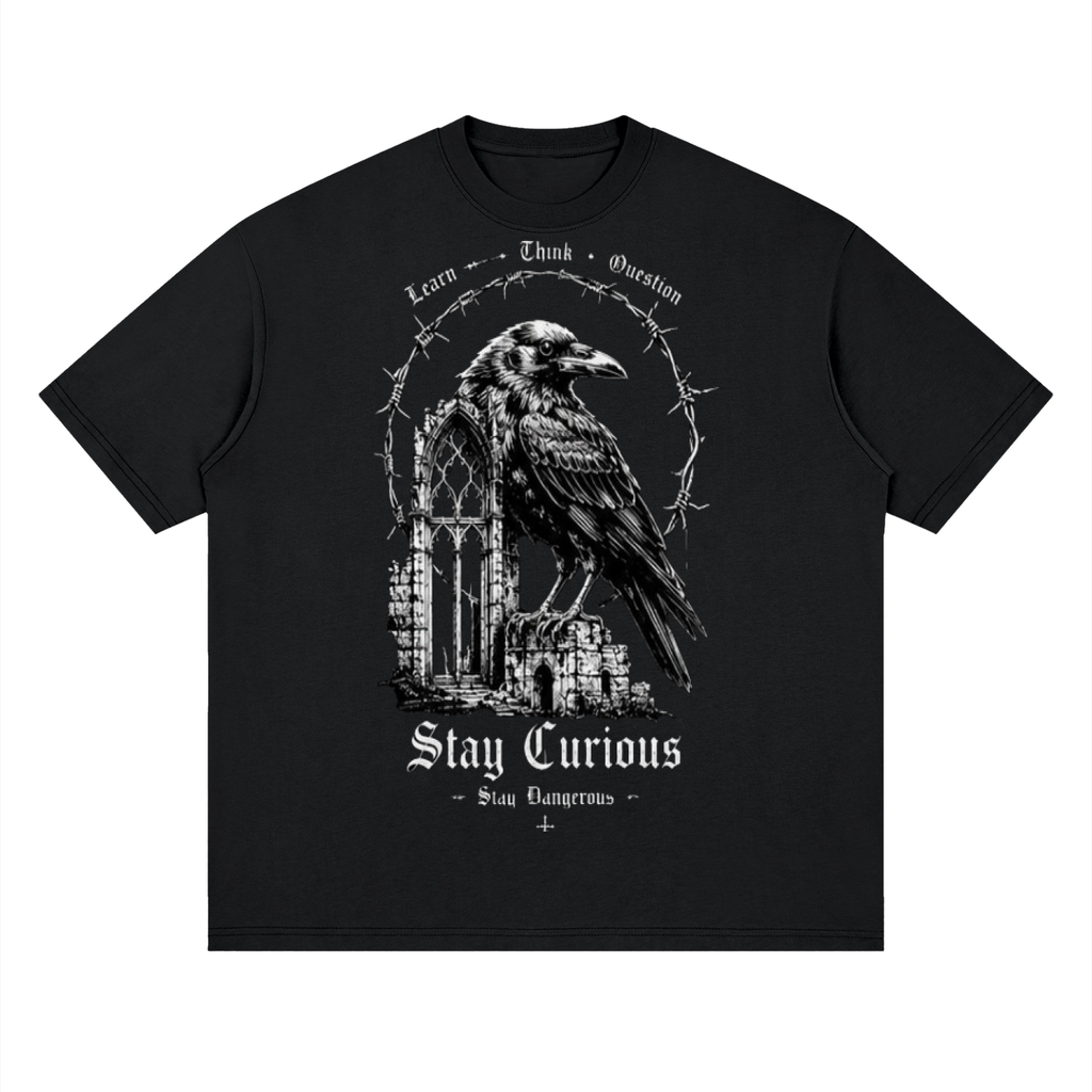 Streetwear Loose Drop Shoulder T-Shirt