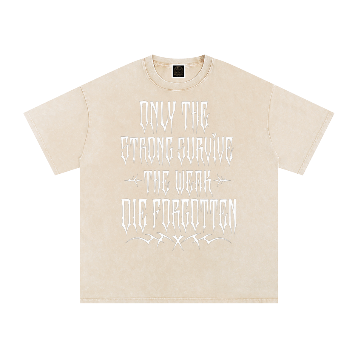 Snow Washed Oversized Cotton T-Shirt